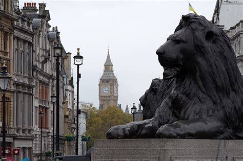 Trafalgar Square Lion Imagery Of Light