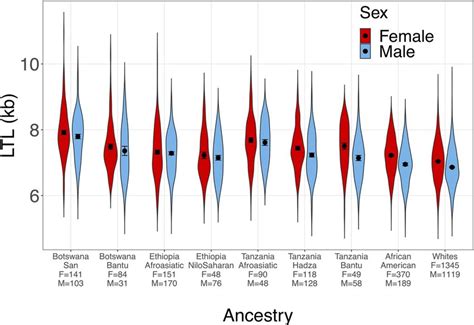 Sex Differences In Leukocyte Telomere Length Ltl By Ancestry