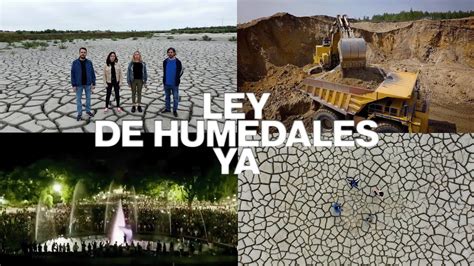 Ley De Humedales Ya Redoblemos La Lucha Y La Organización Youtube