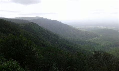 Dajipur Wildlife Sanctuary Kolhapur Stay In Standard Room Jungle S