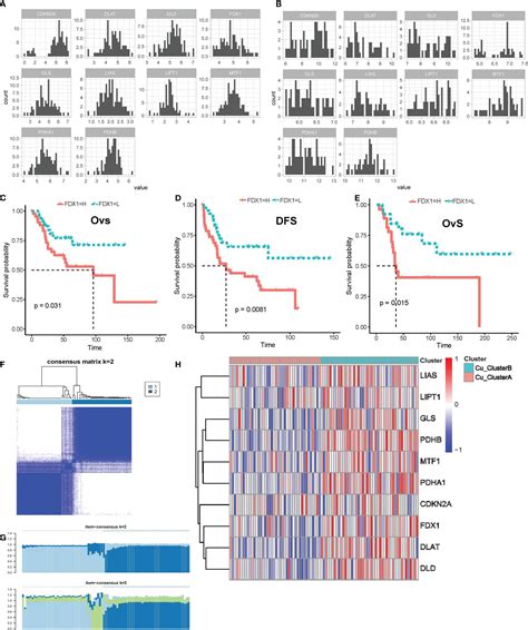 Frontiers Cuproptosis Signature And Plcd3 Predicts Immune