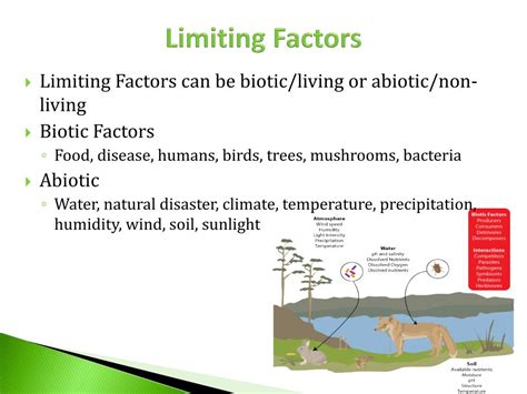 Ppt Concept 2 Population Growth Patterns Powerpoint Presentation