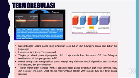 Suhu Dan Termoregulasi Dr Nellypptx