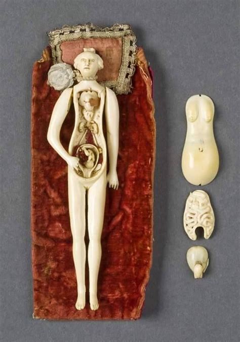 Female Ivory Anatomical Figure 17th 18th Century Hand Crafted Medical Reference Object Used By