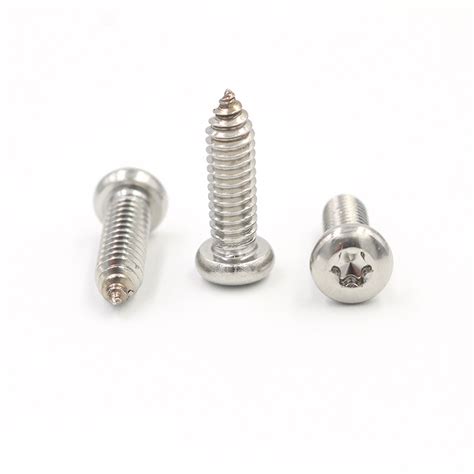 China Custom Stainless Steel Torx Pan Head Self Tapping Screw