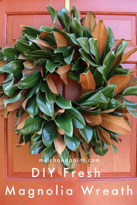 Diy Fresh Magnolia Wreath Mulch Paint Artofit