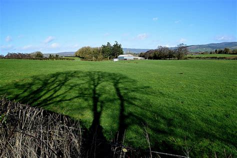 Tree Shadows Tattraconnaghty Kenneth Allen Geograph Ireland