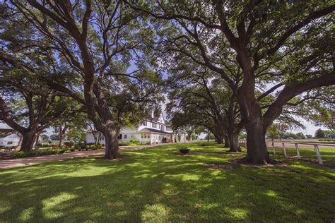 Alcohol Rehab Center Near Austin Texas Great Oaks Recovery Center