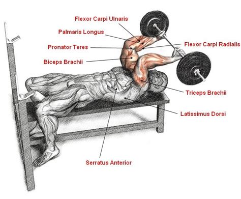 Lying Tricep Extension ( With Barbell, Dumbbell, Ez Bar)