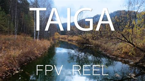 СИБИРСКАЯ ТАЙГА ЗАСЫПАЕТ TAIGA FPV REEL YouTube