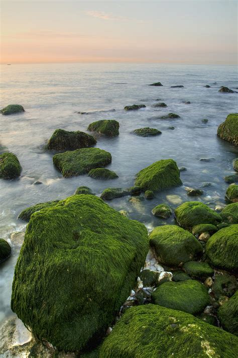 Sunrise at the White Cliffs of Dover Photograph by Ian Middleton - Fine ...