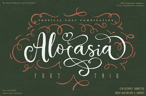 15 Best Swash Fonts And Fonts With Tails Download Now