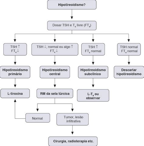 Endocrinologia Hipotireoidismo Causas Sintomas E Diagn Stico