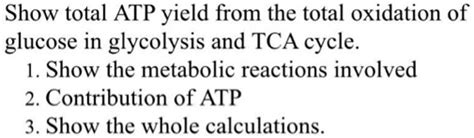 SOLVED Show Total ATP Yield From The Total Oxidation Of Glucose In