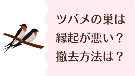 ツバメの巣は縁起悪い？縁起が良いといわれる理由や撤去方法を解説 あらはな