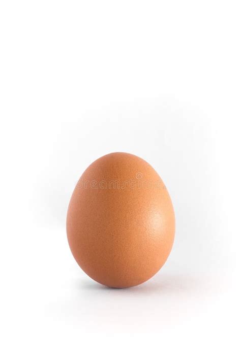 Egg Stock Image Image Of Background Single Cutting 49686321