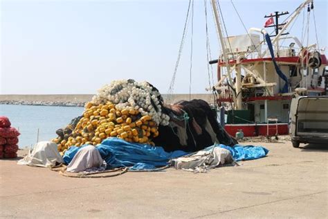 Zonguldak haber ZONGULDAKLI BALIKÇILAR YENİ SEZONDAN UMUTLU