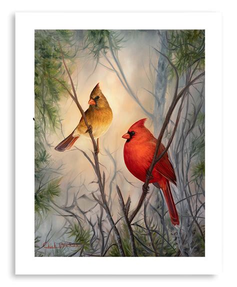 "The Perfect Pair" - Northern Cardinals Bird Art Print – Chuck Black Art