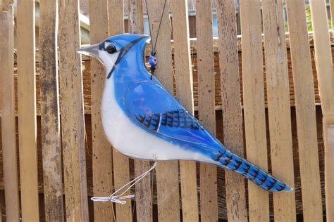 Fused Glass Blue Jay Blue Jay Bird Bird Lover T Etsy