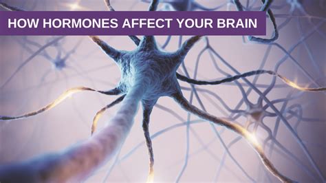 How Hormones Affect Your Brain - Genesis Gold