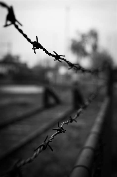 flach fokus fotografie Stacheldrähte Stacheldraht Schwarz und weiß