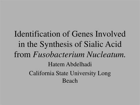 Ppt Identification Of Genes Involved In The Synthesis Of Sialic Acid