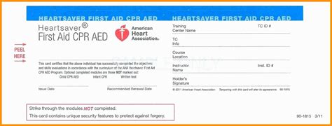 99 How To Create Aha 3 Card Template Formating For Aha 3 Inside Cpr