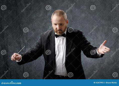 Symphony Conductor stock image. Image of orchestra, conductor - 4347993