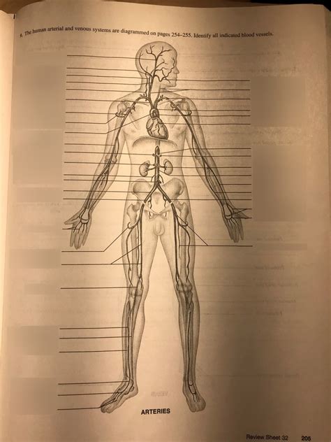 Part Nd Copy Diagram Quizlet