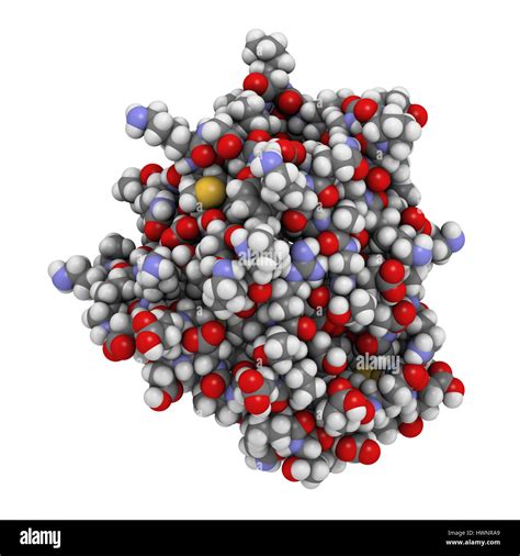 Whey Protein Structure