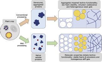 Plant Protein Aggregates Induced By Extraction And Fractionation