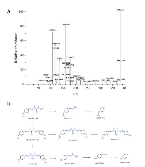 Collision Induced Dissociation Spectrum Of Ibg A And Proposed