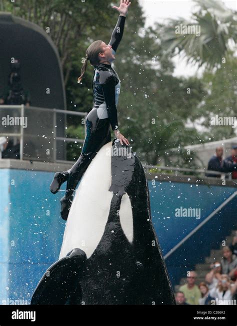 Dawn Brancheau And The Killer Whale Performing Tricks At Seaworld