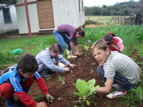 Educativa Projeto Horta E Pomar