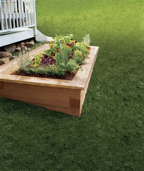 How To Build A Raised Planting Bed Diy Raised Garden Building A Raised Garden Raised Garden