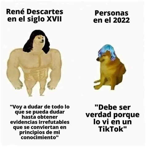 Ren Descartes Voy A Dudar De Todo Lo Que Se Pueda Dudar Hasta Obtener