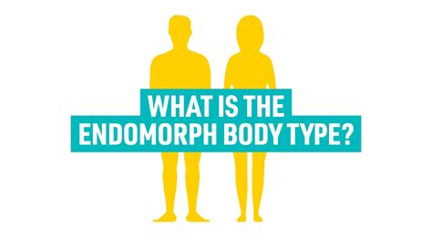 The Endomorph Body Type Exercises And Workouts Puregym