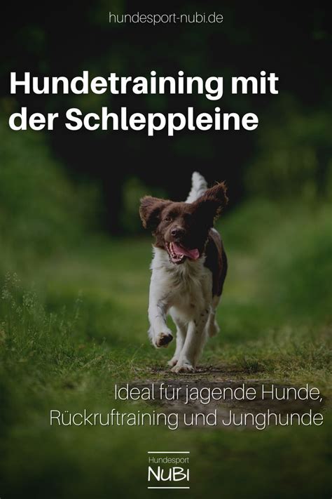 Mit Der Schleppleine Bringst Du Deinem Hund Den R Ckruf Bei Kannst