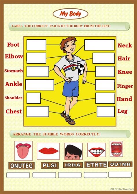 1 024 Body Parts English Esl Worksheets Pdf And Doc