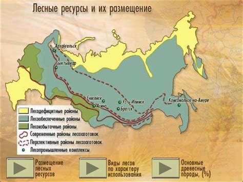 Тема: Лесная промышленность - презентация онлайн