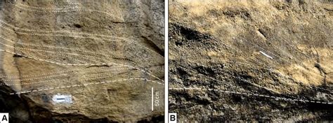 Cross Stratification In Sandstone Beds A Scour Fill Download