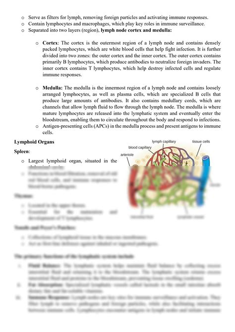 SOLUTION Human Physiology Pcl 252 Lymphatic System Studypool