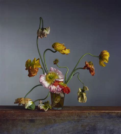 Richard Learoyd Irving Penn Flowers New Exhibitions