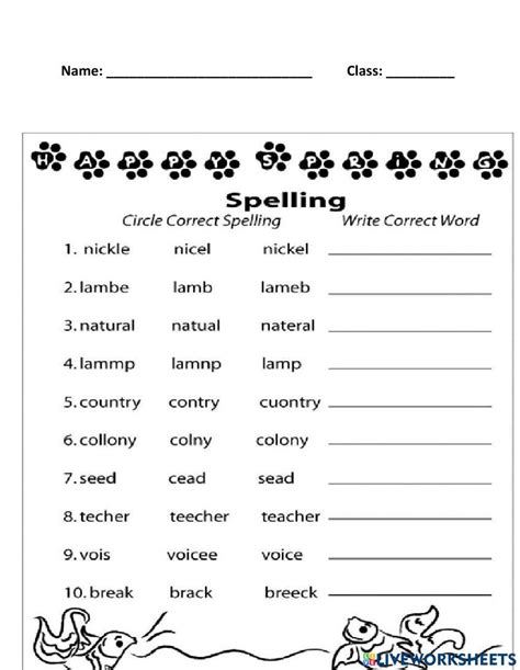 Vacabulary Interactive Worksheet Live Worksheets