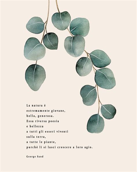 Le Citazioni Che Amo Eucalipto Illustrazione Botanica Acquerello