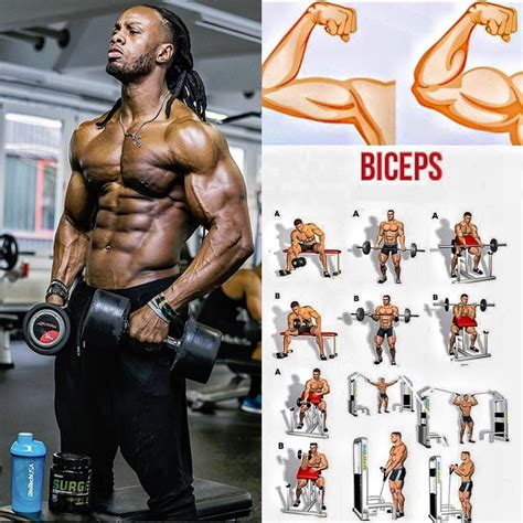 How To Make Biceps Peacks Exercise Videos And Guides Weighteasyloss