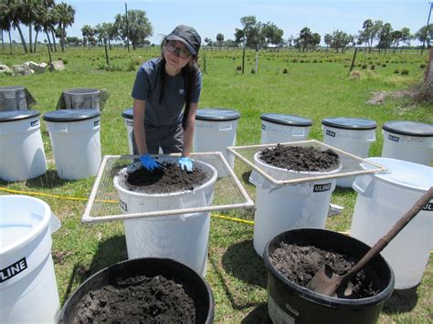 Biotic communities & Ecosystem services - Landscape Ecology and ...