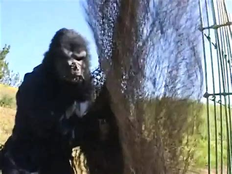 Scopate Sul Pianeta Delle Scimmie Episode 2 Free Porn Be XHamster