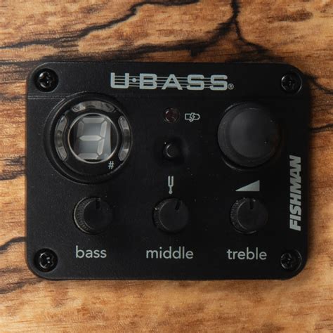 Exotic Wood U•bass® Kala Brand Music Co™