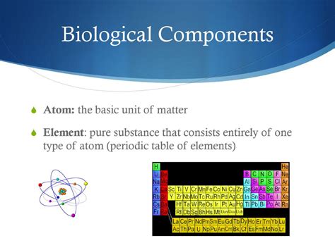 Biology What Are The Parts Ppt Download